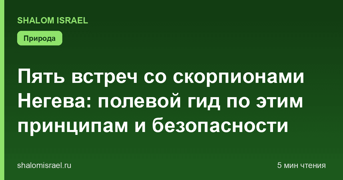 Пять встреч со скорпионами Негева: полевой гид по этим принципам и безопасности