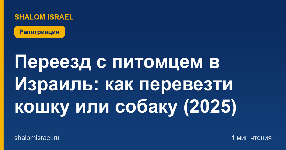Переезд с питомцем в Израиль: как перевезти кошку или собаку (2025)