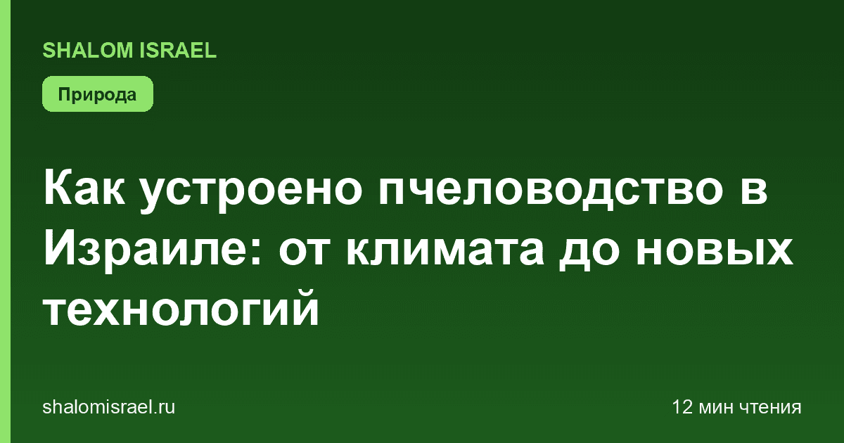 Как устроено пчеловодство в Израиле: от климата до новых технологий