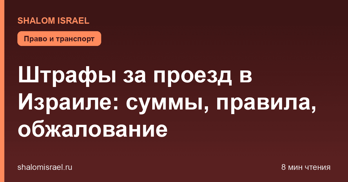 Штрафы за проезд в Израиле: суммы, правила, обжалование