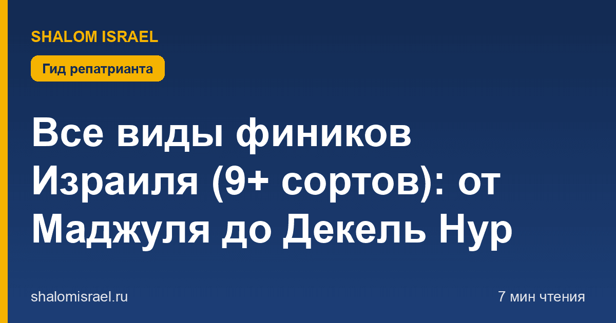 Все виды фиников Израиля (9+ сортов): от Маджуля до Декель Нур