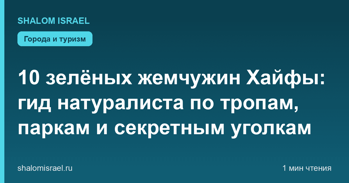 10 зелёных жемчужин Хайфы: гид натуралиста по тропам, паркам и секретным уголкам