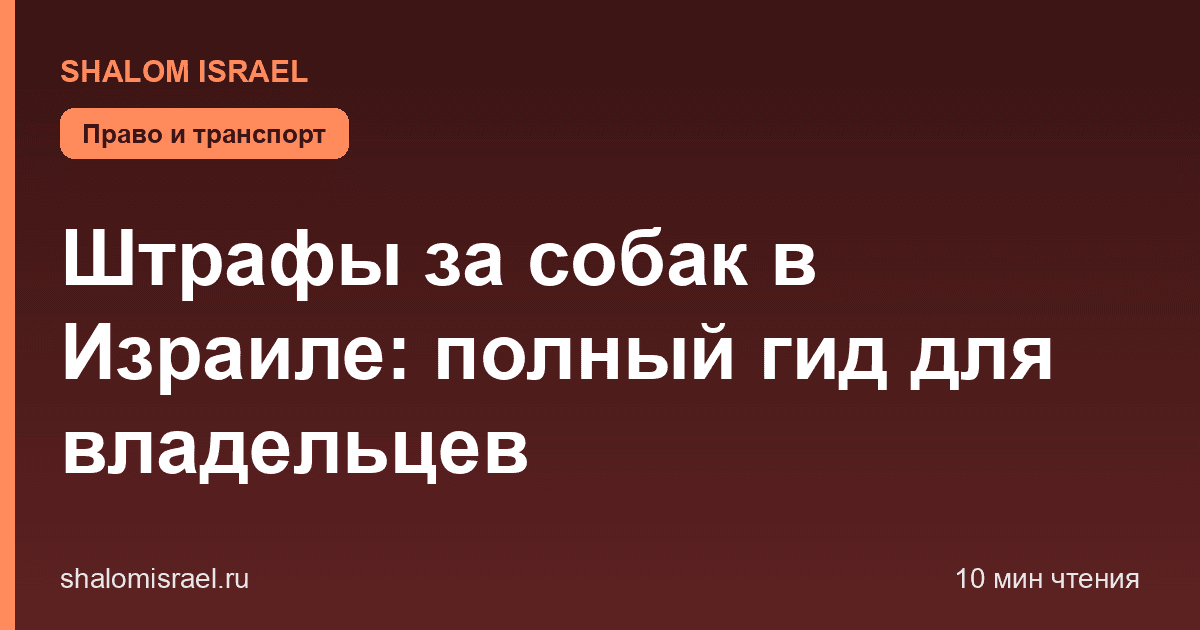 Штрафы за собак в Израиле: полный гид для владельцев