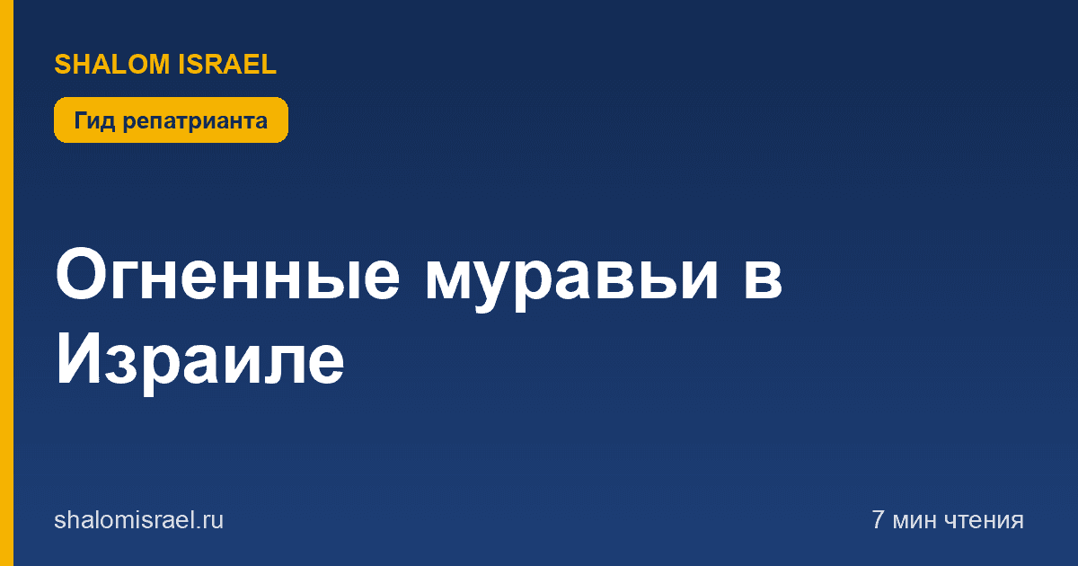 Огненные муравьи в Израиле
