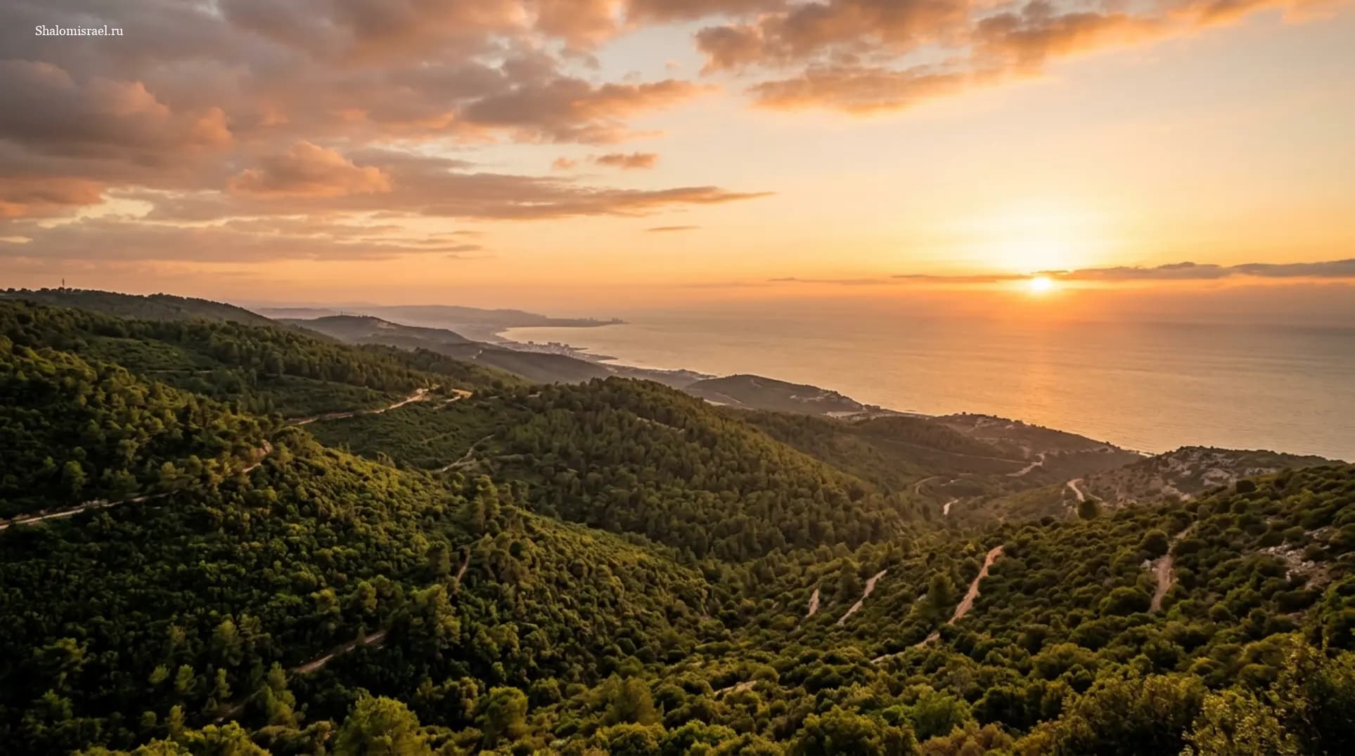 Гора Кармель: путеводитель по лесам, смотровым и деревням