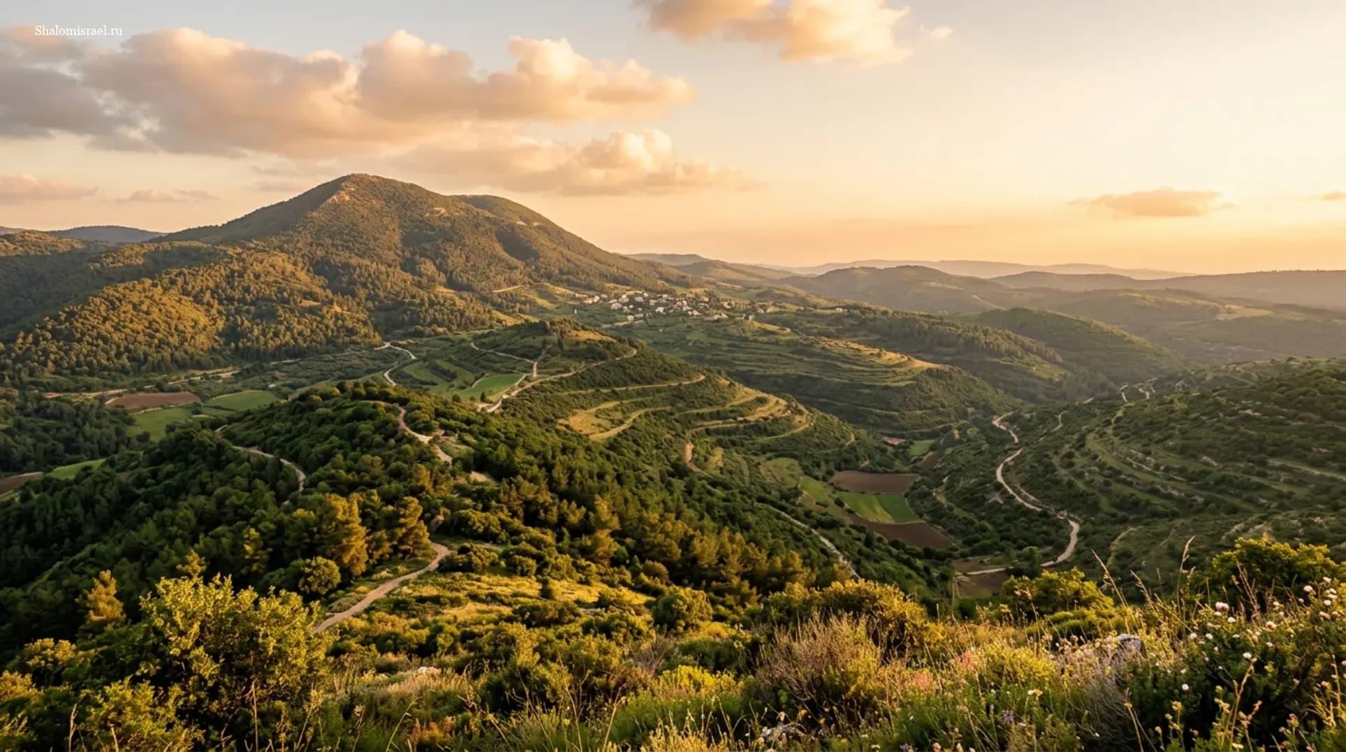 Гора Мерон: детальный гид по природе и святыням Галилеи