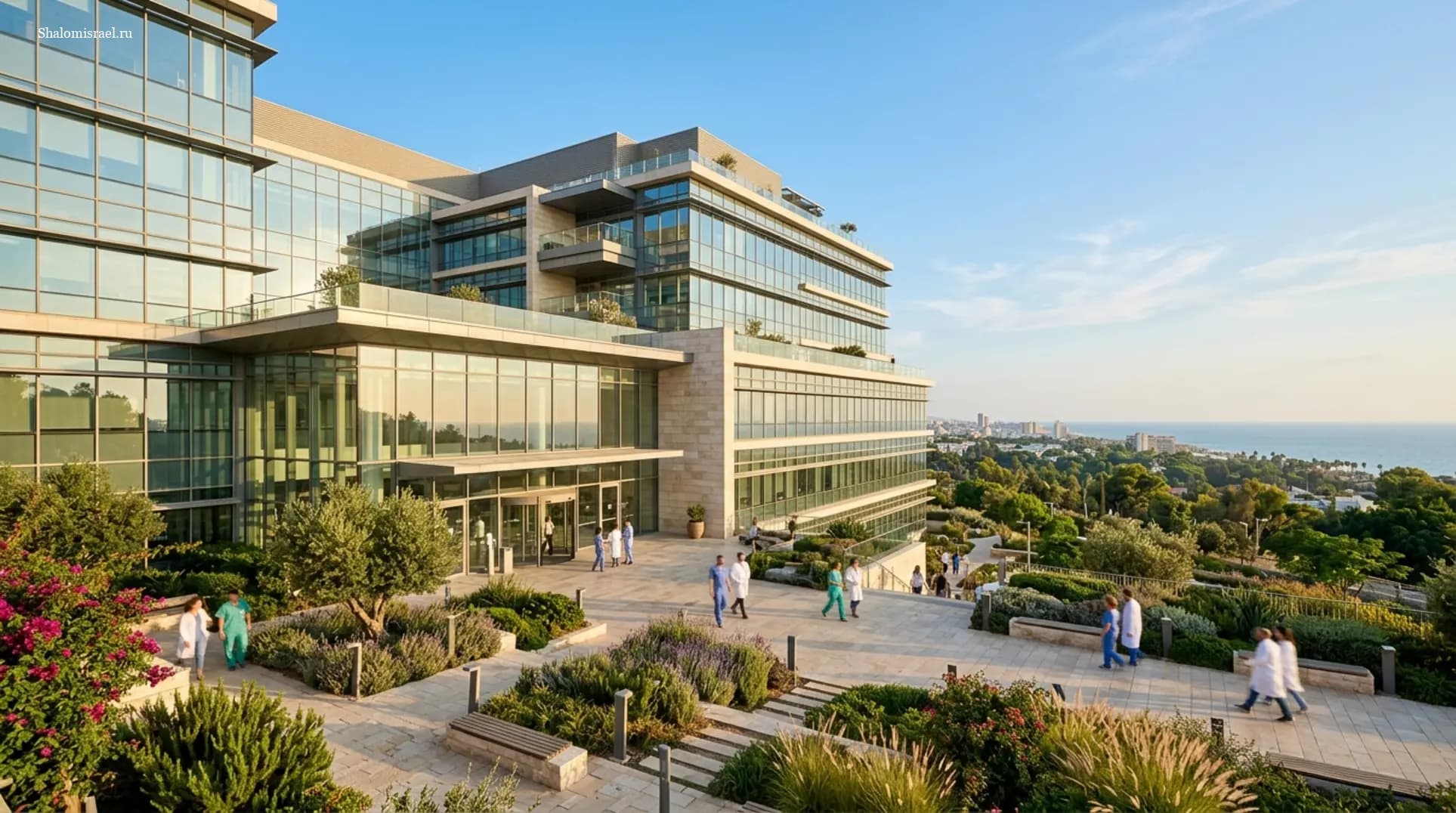 Туристическая страховка в Израиль: покрытие и стоимость